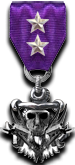 Tactical Precision Team Medal 2 Stars